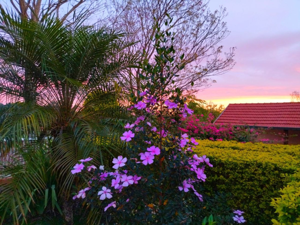 Haussitting und Tiersitting in&nbsp;Paraguay