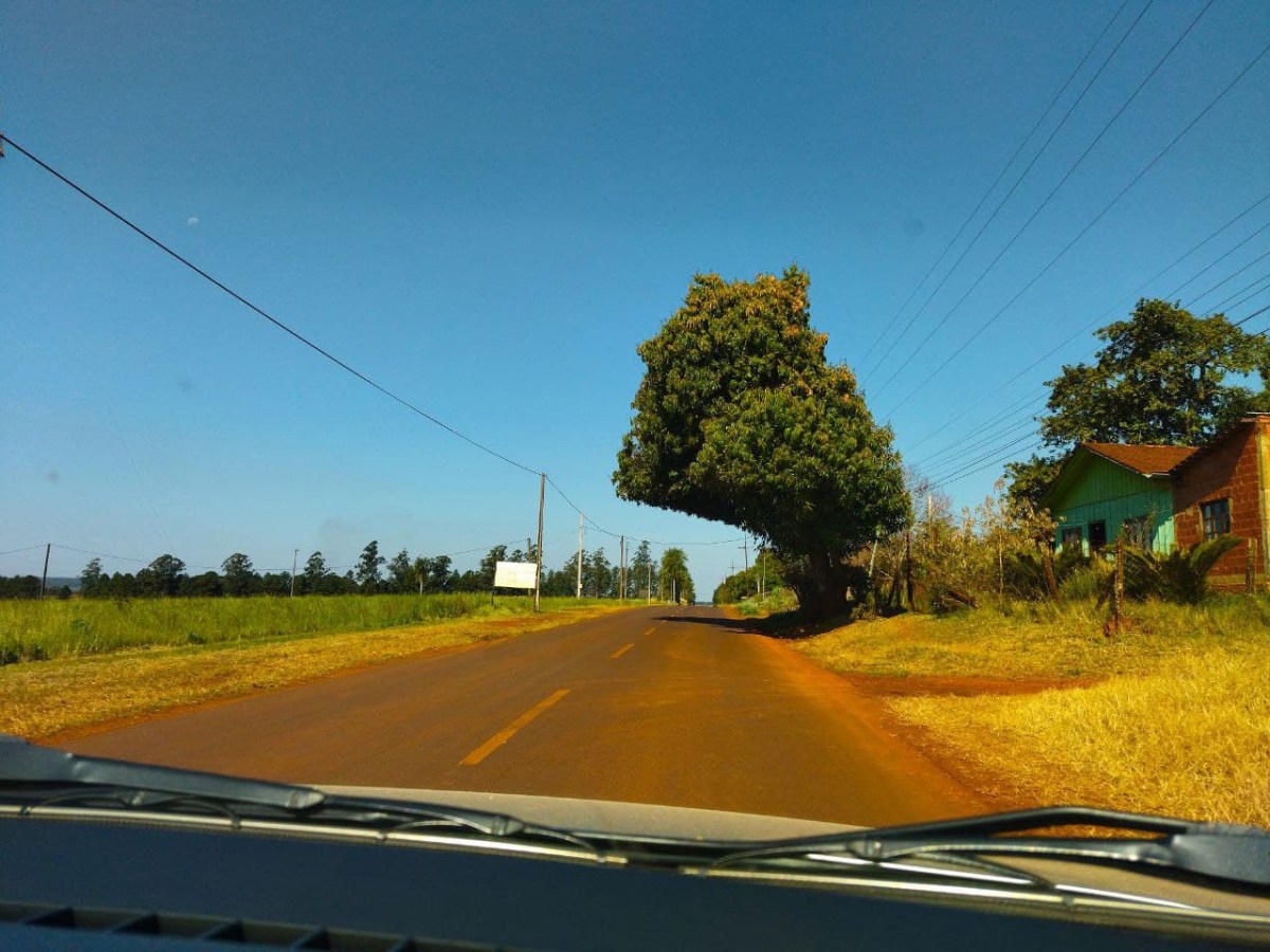 Von Asunción nach&nbsp;Hohenau